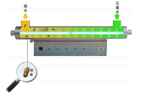 对自来水消毒的办法有哪些插图